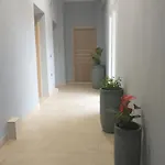 Menta * Litochoro